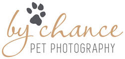 By Chance Pet Photography